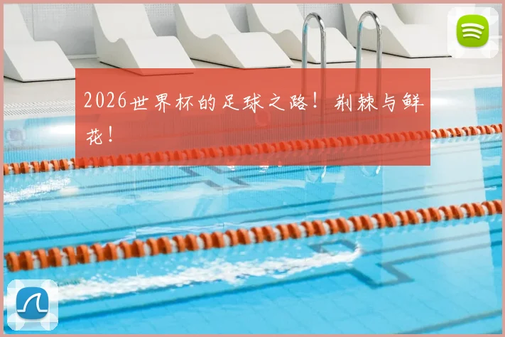 2026世界杯的足球之路！荆棘与鲜花！