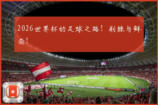 2026世界杯的足球之路！荆棘与鲜花！
