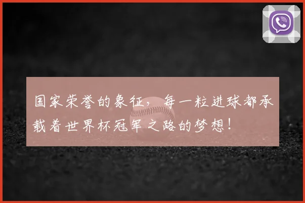 国家荣誉的象征,每一粒进球都承载着世界杯冠军之路的梦想!