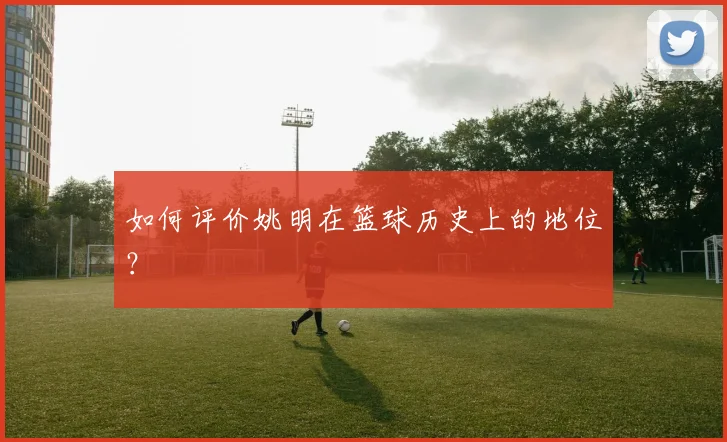 如何评价姚明在篮球历史上的地位？